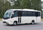 Marcopolo Senior Agrale MA 9.2 2015 года